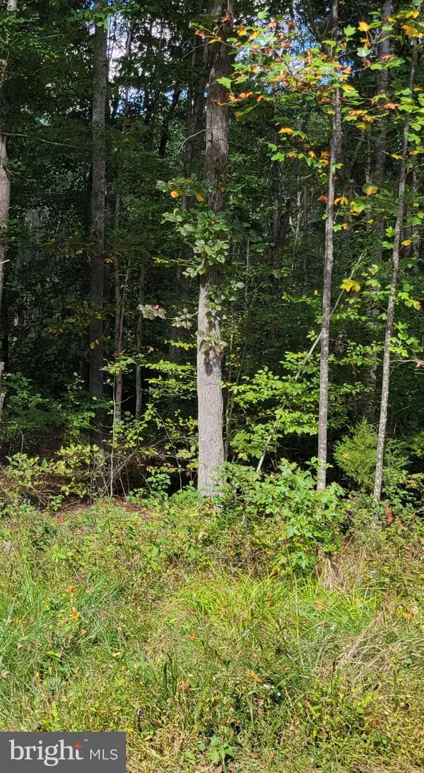 Mineral, VA 23117,LOT 421 DECATUR LANE