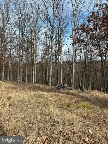 LOT 49 PLUM TREE, Berkeley Springs, WV 25411