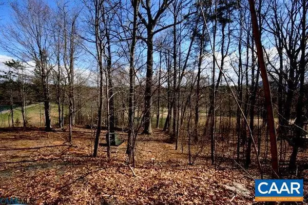 Nellysford, VA 22958,33 E LAKESIDE #LOT 2 BREEZEWWOD 1