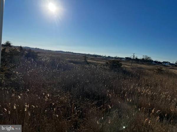 Frederica, DE 19946,156 WYATT AVE