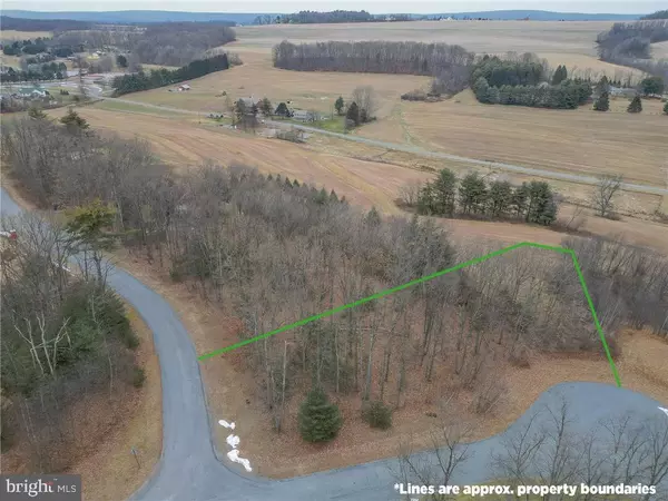 New Ringgold, PA 17960,EAGLES VIEW DR #LOT 13