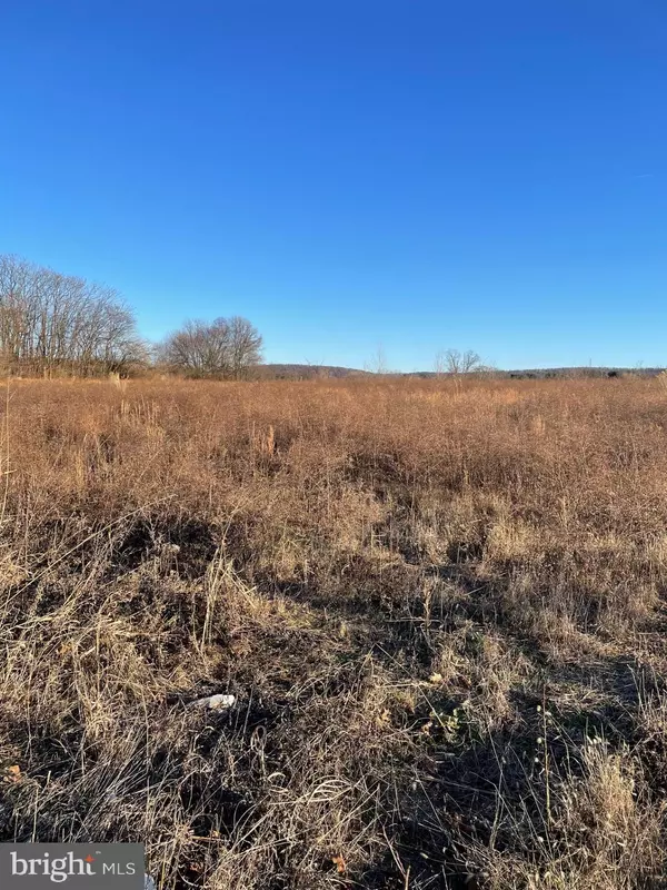 LOT 1 JEFFERSON PIKE, Jefferson, MD 21755