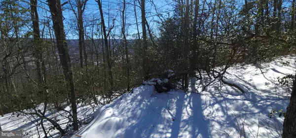 Franklin, WV 26807,LOT 44W HIGH VALLEY DR