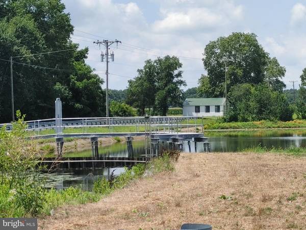 Federalsburg, MD 21632,28035 POSSUM HILL RD