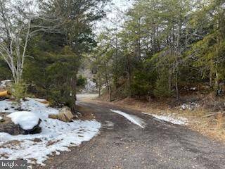 Locust Grove, VA 22508,LOT 48H GERMANNA HWY