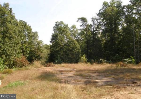 Locust Grove, VA 22508,LOT 48H GERMANNA HWY