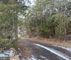 Locust Grove, VA 22508,LOT 48H GERMANNA HWY