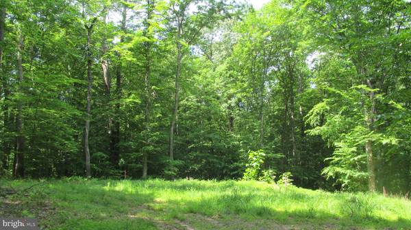 Barboursville, VA 22923,LOT 1D WILHOITS MILL ROAD