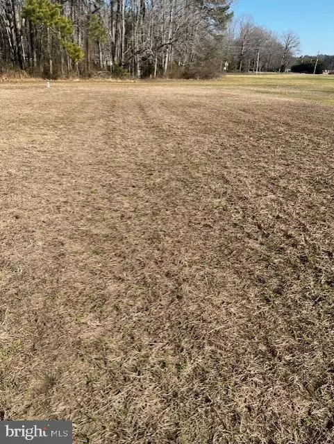 31 PIMLICO RD, Milton, DE 19968