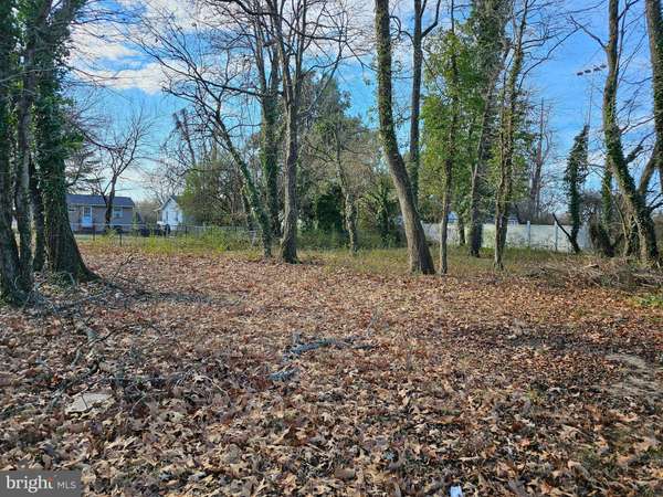 LOT 87 BILLINGSLEY AVE, Colonial Beach, VA 22443