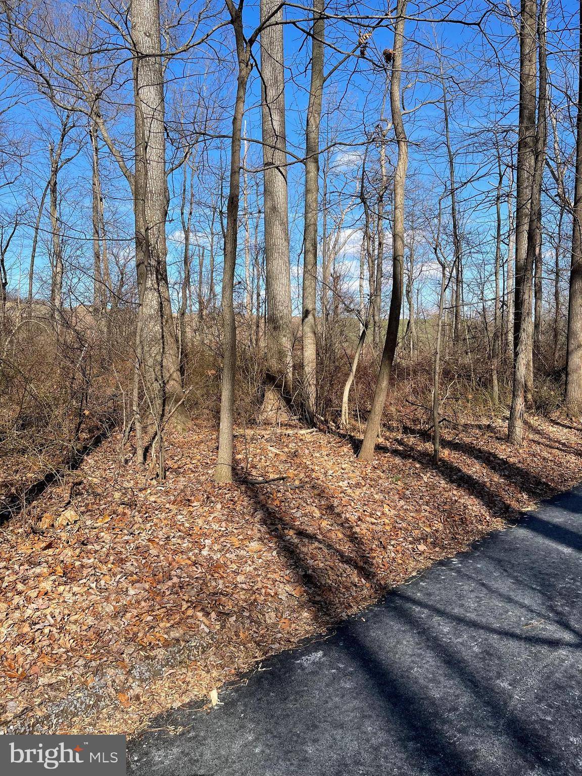 Hampstead, MD 21074,3450 RALPH DELL