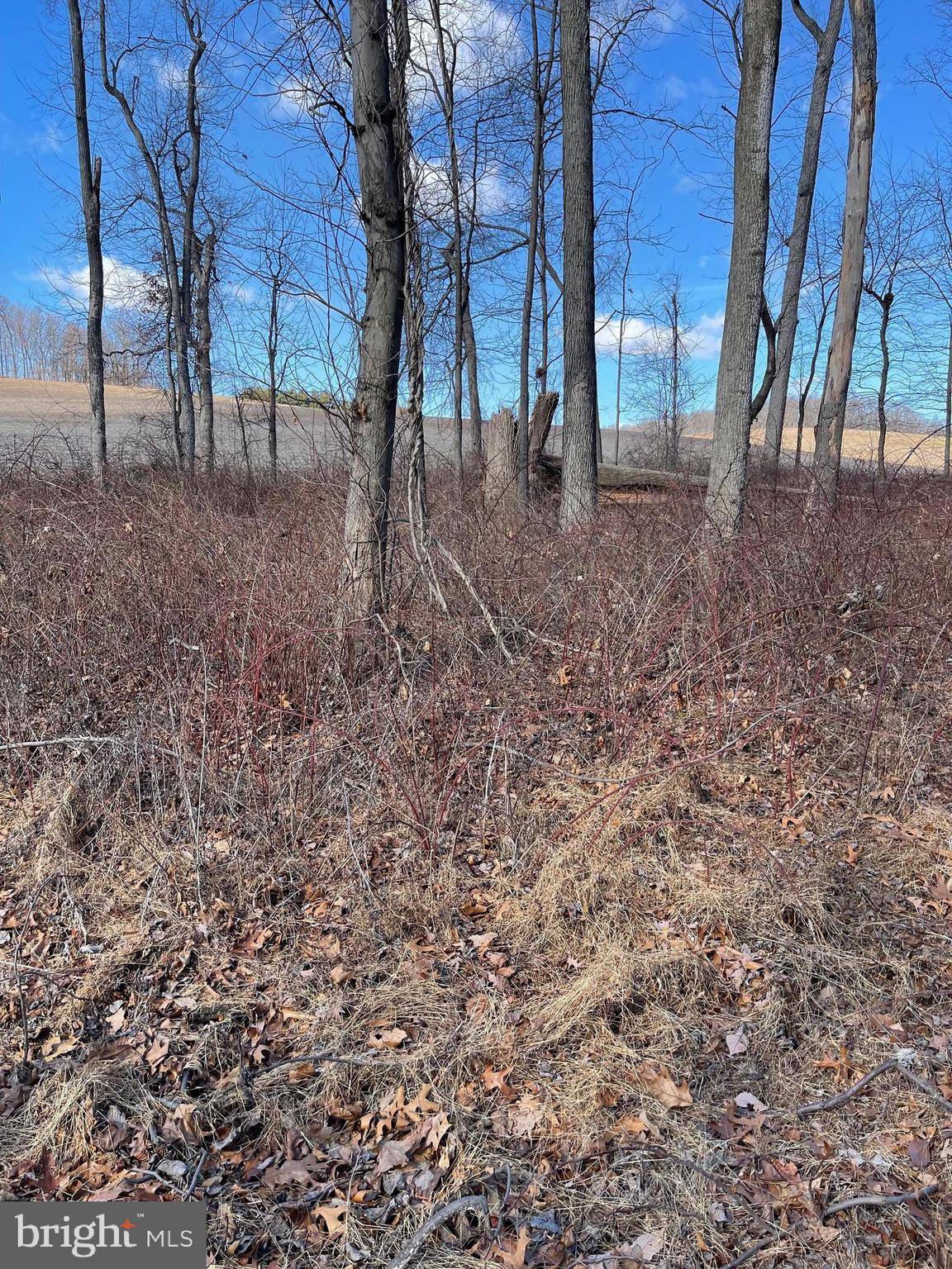 Hampstead, MD 21074,3450 RALPH DELL