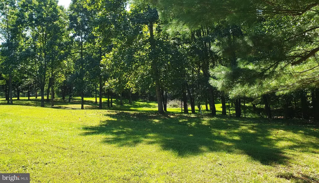 -LOT 21 COTTONWOOD LANE, Hedgesville, WV 25427