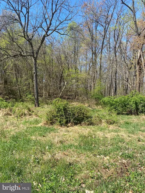 Etters, PA 17319,PROPOSED LOT D-1 POTTS HILL ROAD