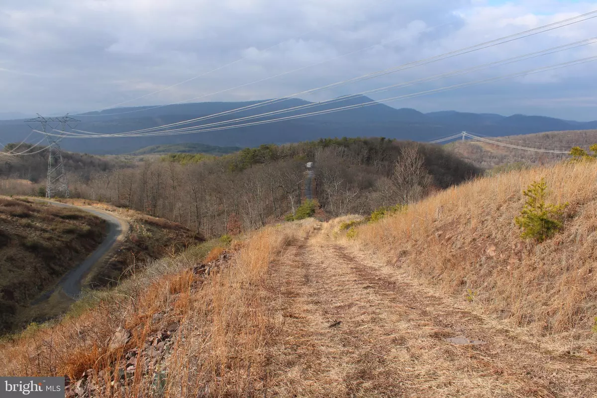 Moorefield, WV 26836,20.22 AC RIDGE VIEW RD