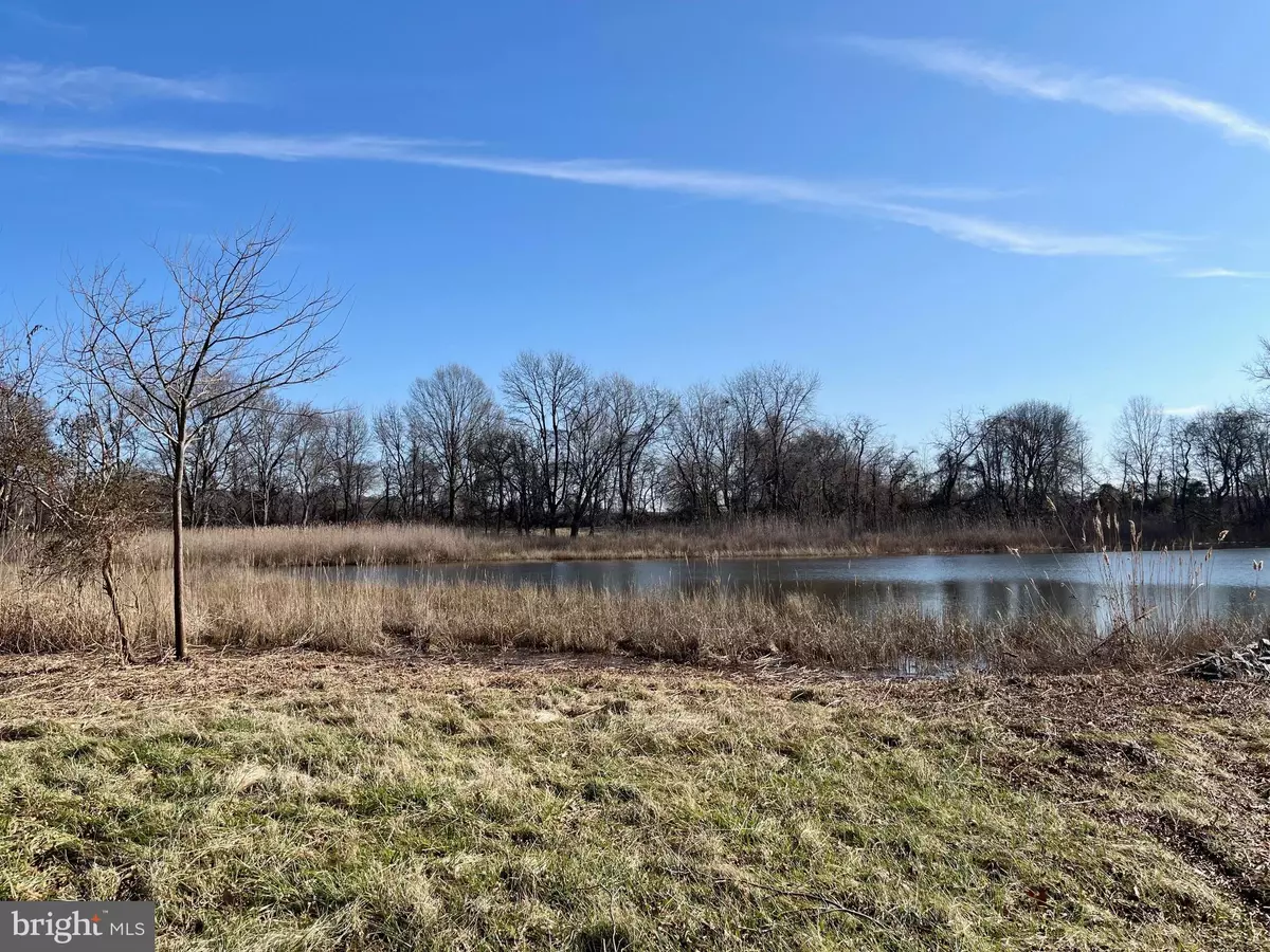 Chester, MD 21619,203 RIVERSIDE DR
