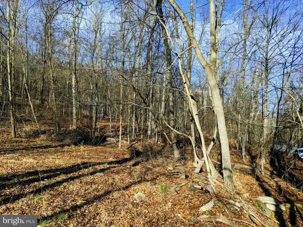 Keedysville, MD 21756,LOT 1 TREGO MOUNTAIN RD