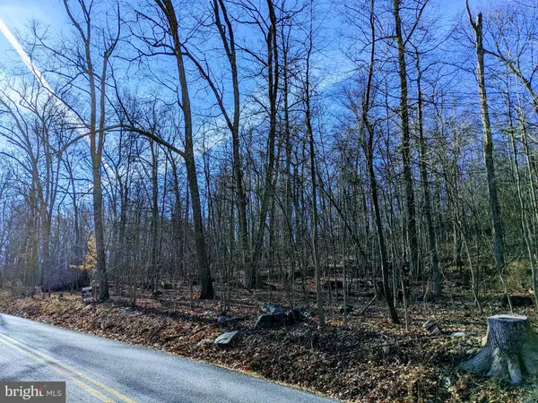 Keedysville, MD 21756,LOT 2 TREGO MOUNTAIN RD