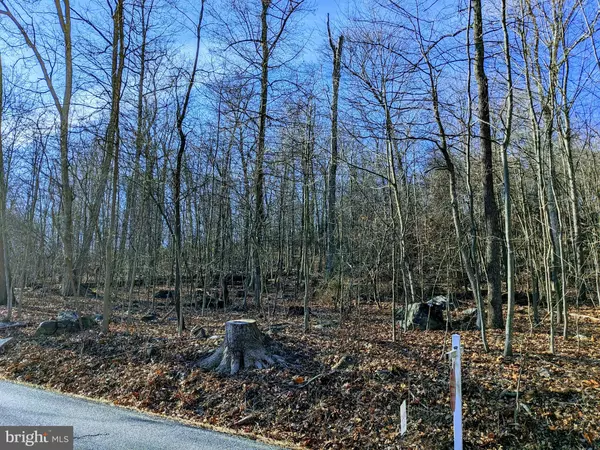 Keedysville, MD 21756,LOT 2 TREGO MOUNTAIN RD