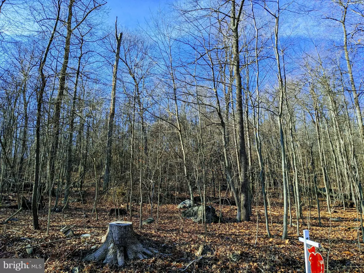 Keedysville, MD 21756,LOT 2 TREGO MOUNTAIN RD