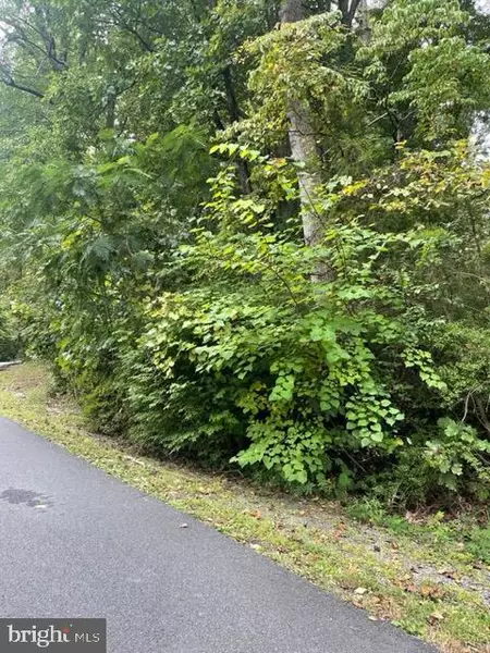 LOT 389 N LAKESHORE DR., Louisa, VA 23093