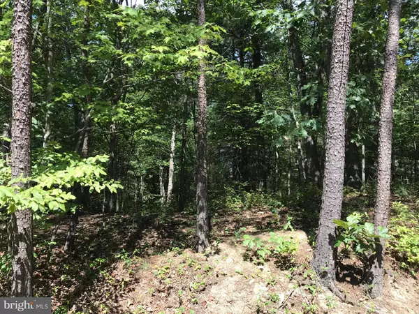 Mount Jackson, VA 22842,0 MALLARD DR