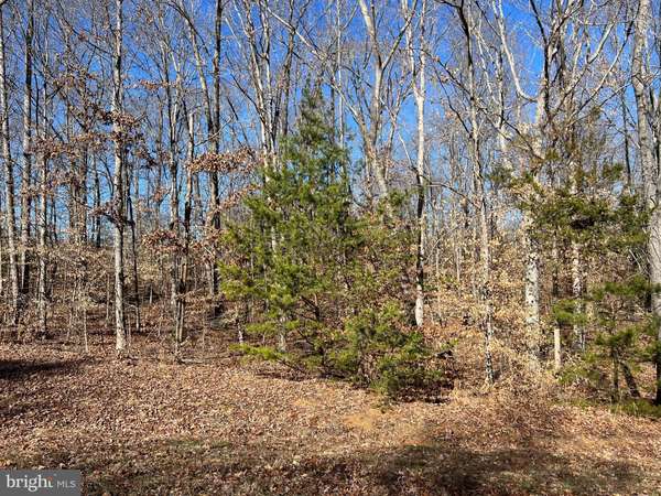 LOT 197 NOAH'S LANDING DRIVE, Bumpass, VA 23024