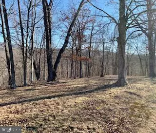 Paw Paw, WV 25434,LOT 100 WALNUT GROVE CT