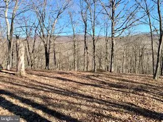 Paw Paw, WV 25434,LOT 100 WALNUT GROVE CT