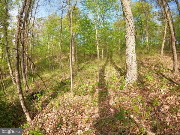 High View, WV 26808,LOT 22 QUAIL HILL DR