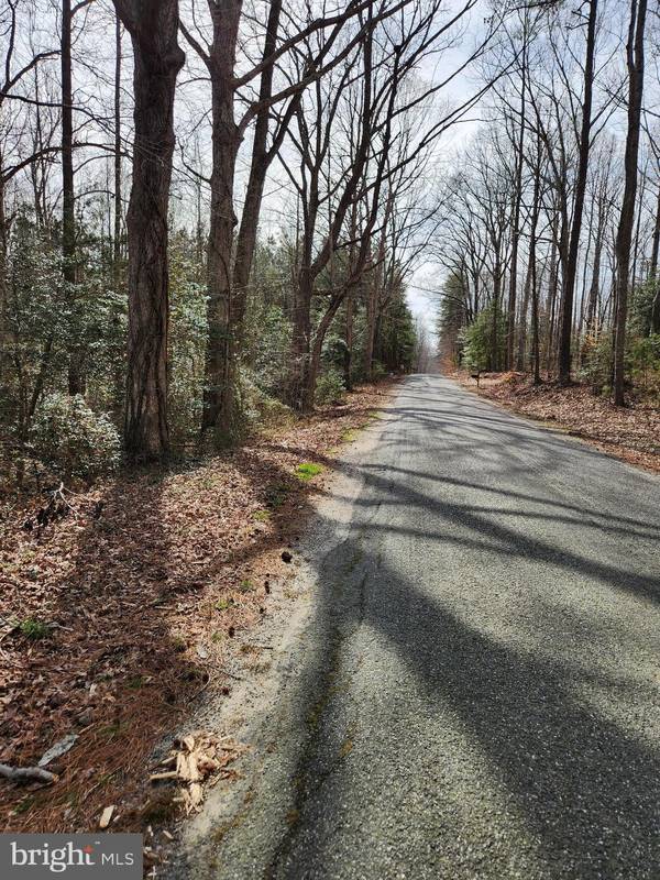 LOT 1 PILKINGTON RD, Hustle, VA 22476