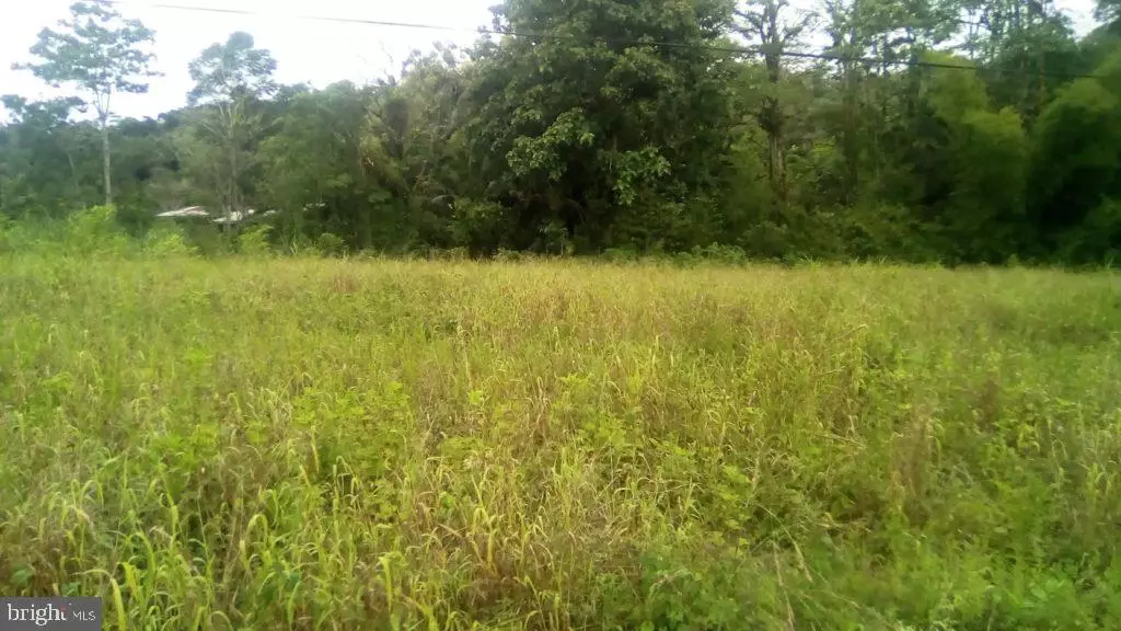 Lewes, DE 19966,0 PICKWICKE RD #LOT 51
