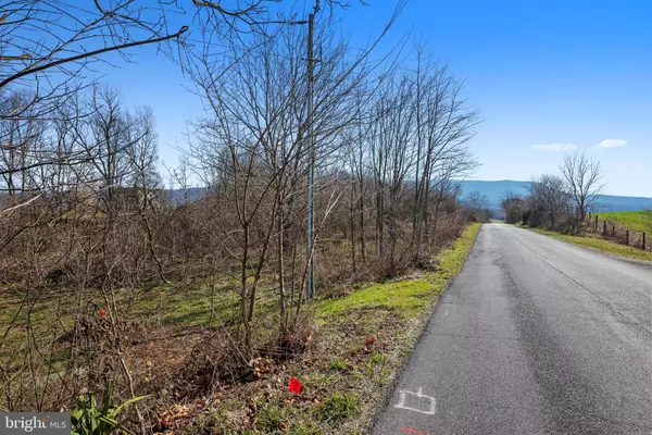 Mount Jackson, VA 22842,LOT 21 RED BANKS RD