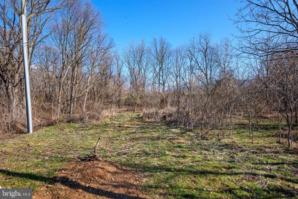 Mount Jackson, VA 22842,LOT 21 RED BANKS RD