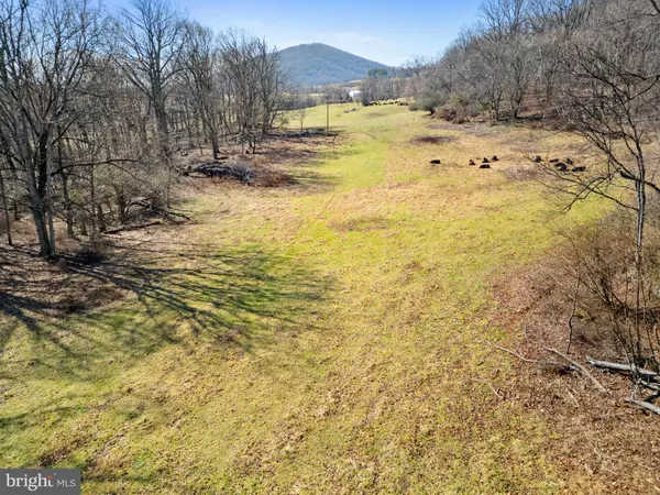 Marshall, VA 20115,41 ACRES - RAMEY ROAD