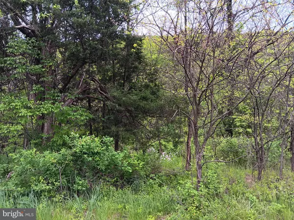 Cresaptown, MD 21502,MCMULLEN HWY