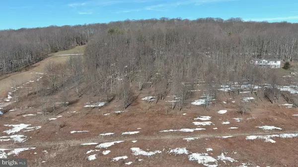 Grantsville, MD 21536,LOT 89 LAKEVIEW DRIVE/HEMLOCK ACRES