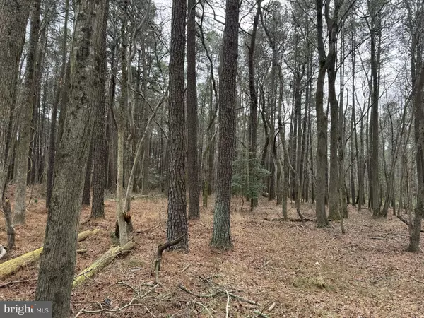 Princess Anne, MD 21853,FREETOWN RD