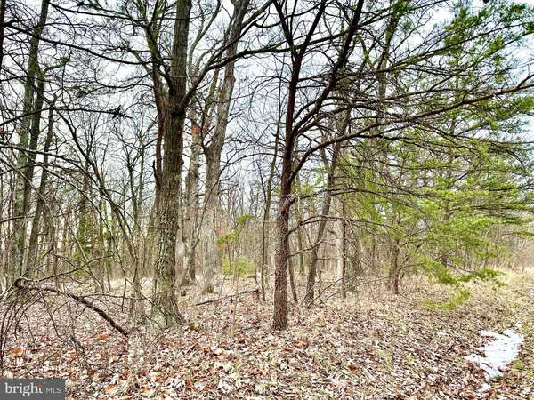 LOT 3 N TIMBER RIDGE ROAD,  Cross Junction,  VA 22625