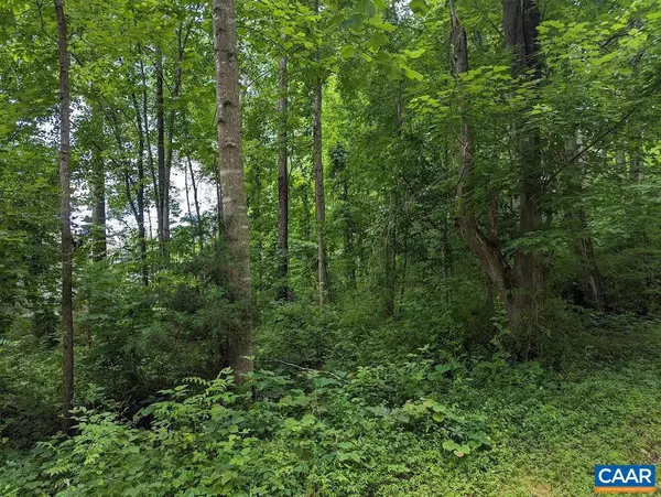 Nellysford, VA 22958,914 STONEY CREEK EAST #1 G LOT  39