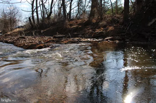 Mount Jackson, VA 22842,ORKNEY GRADE