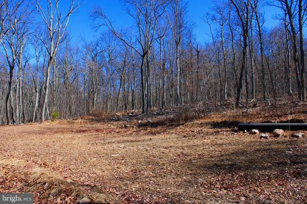 5.75 ACRES CHANCE LN, Paw Paw, WV 25434