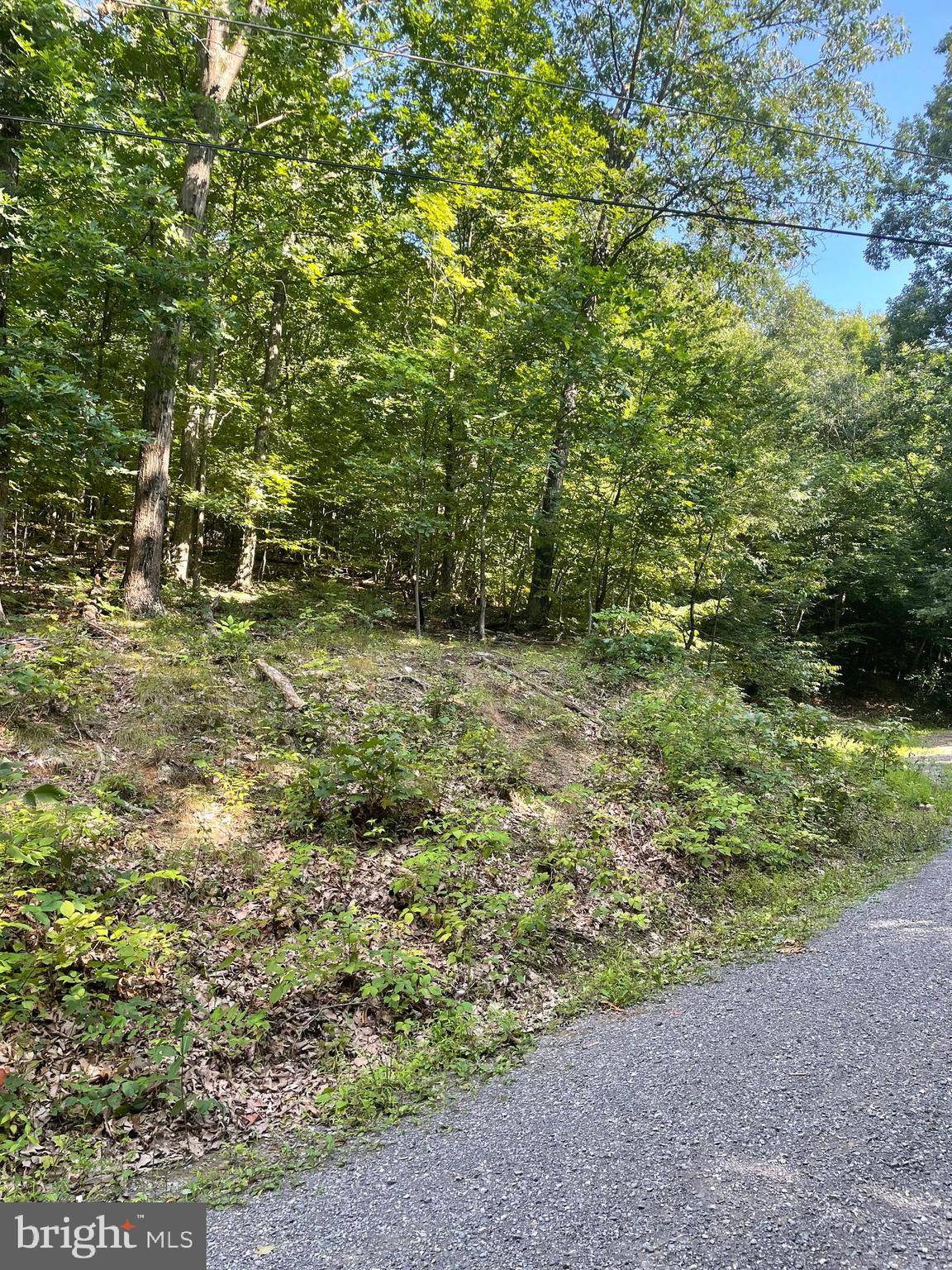 Shade Gap, PA 17255,LOT # 30 SHADE CREEK LANE