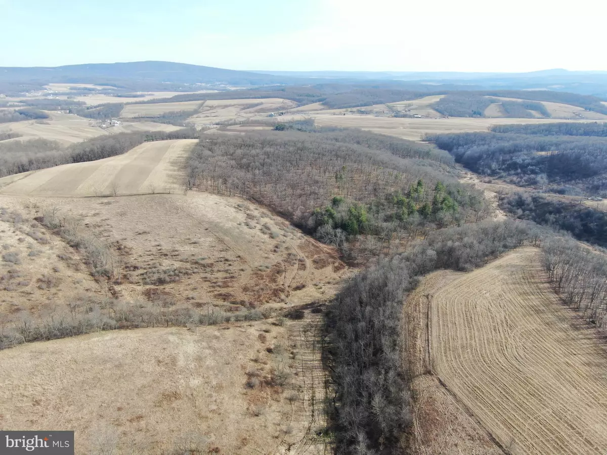 Alum Bank, PA 15521,123.33+- ACRES MILLER RD