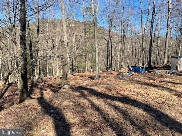 LOT 2 BOULDER DR,  Mathias,  WV 26812