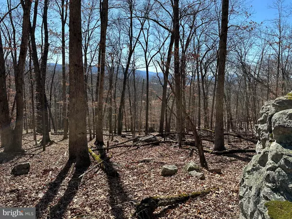 Moorefield, WV 26836,LOT 3 TROUGH OVERLOOK