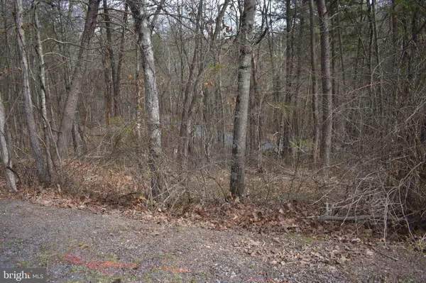 Mount Jackson, VA 22842,TBD COTTONWOOD RD