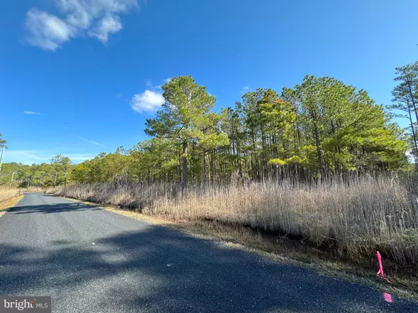 Crisfield, MD 21817,PARCEL 455 BOONE RD