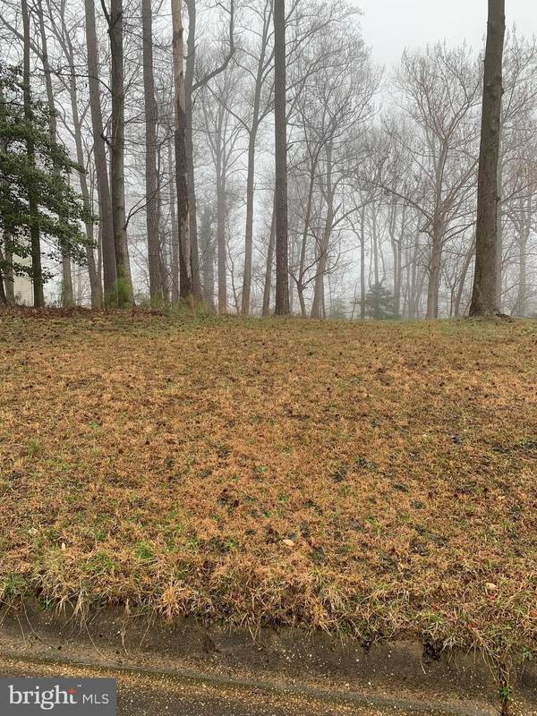 LOT 42 BAY POINTE DR, Montross, VA 22520