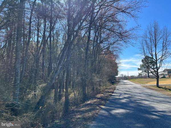 Carson, VA 23830,FOX BRANCH RD TRACT